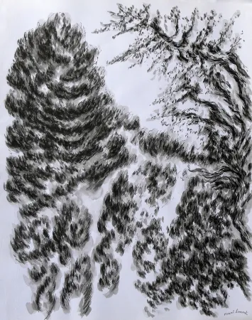 Keine Technische Dumont - LES / THE ALPILLES