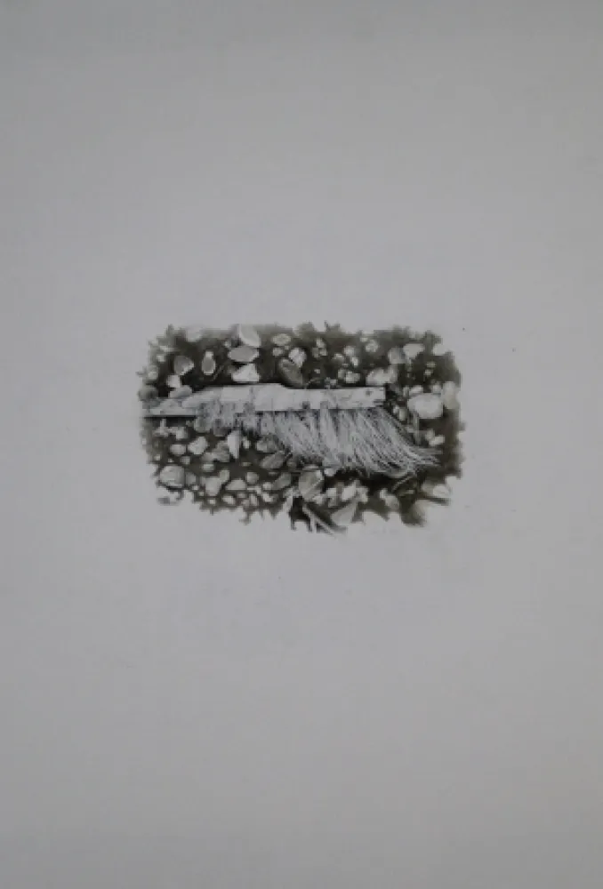 Keine Technische Ebert - Besen