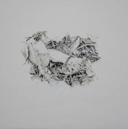 Keine Technische Ebert - Handschuh / Glove