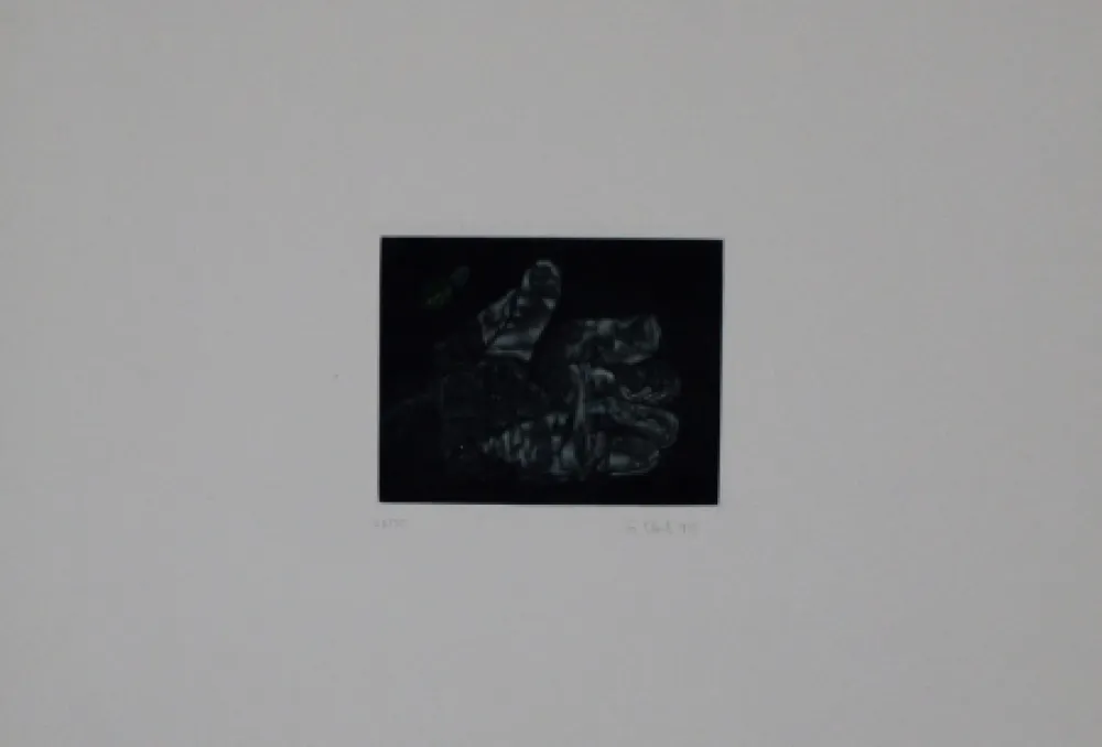 Mezzotinto Ebert - Handschuh / Glove