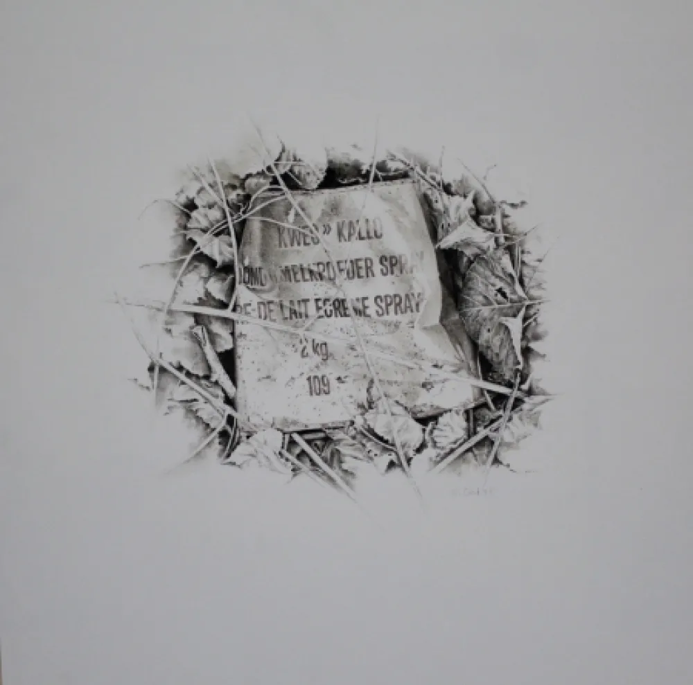 Keine Technische Ebert - Komposition mit Efeu