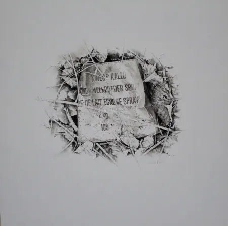 Keine Technische Ebert - Komposition mit Efeu