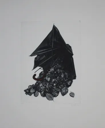 Mezzotinto Ebert - Schirm und Blättern