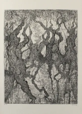 Radierung Eliasberg - Die Platanen des Pelion