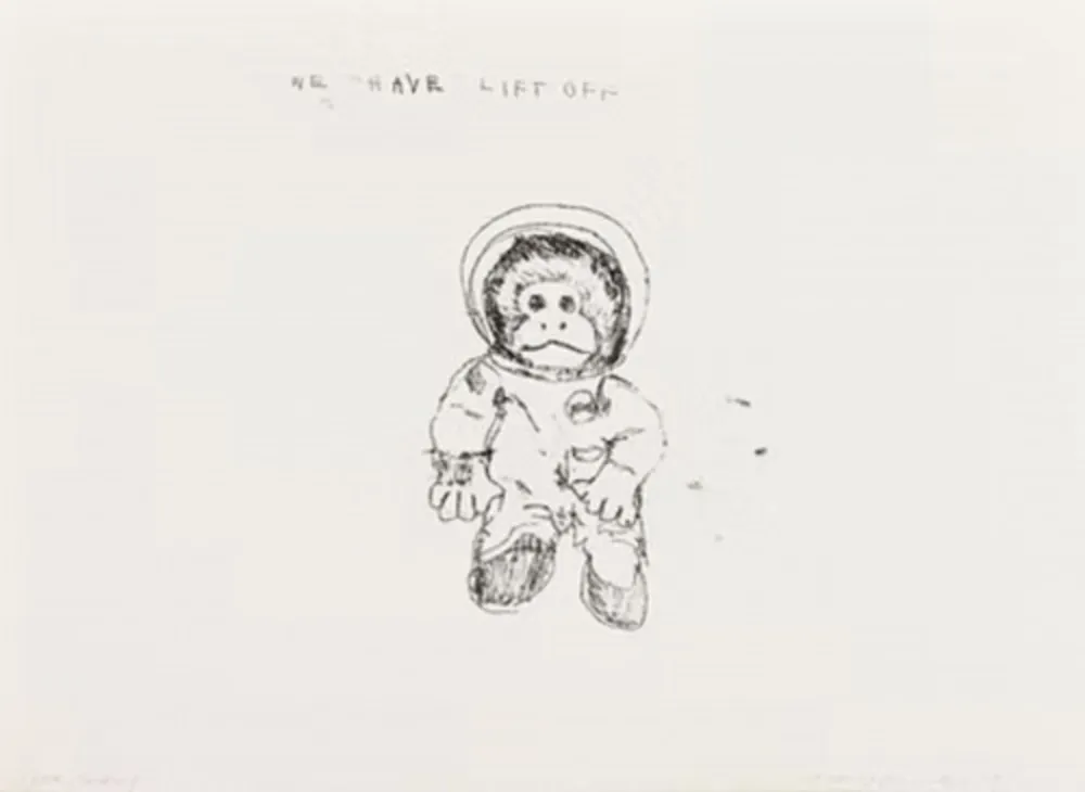 Multiple Emin - Space Monkey