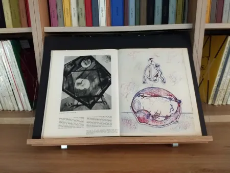 Illustriertes Buch Ernst - Hommage