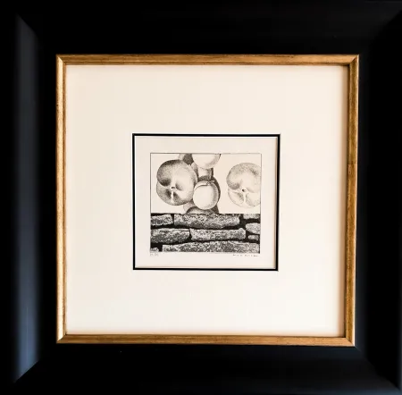 Lithographie Ernst - Max Ernst (1891–1976) - Fruits défendus - Photolithography on paper - 1968