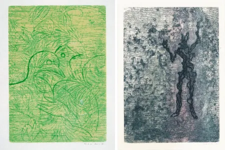 Radierung Und Aquatinta Ernst - PAROLES PEINTES (1959) 2 GRAVURES ORIGINALES DE MAX ERNST (10 gravures originales de Max Ernst, Jacques Hérold, Wifredo Lam, Sébastian Matta et DorotheaTanning. Poèmes d’Alain Bosquet).