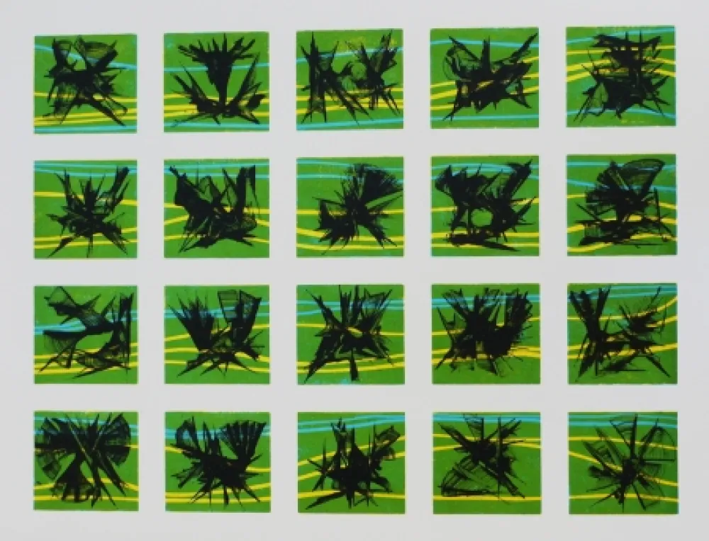 Lithographie Ernst - Terra Incognita 10