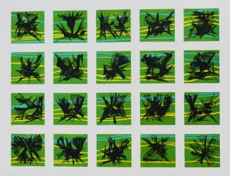 Lithographie Ernst - Terra Incognita 10