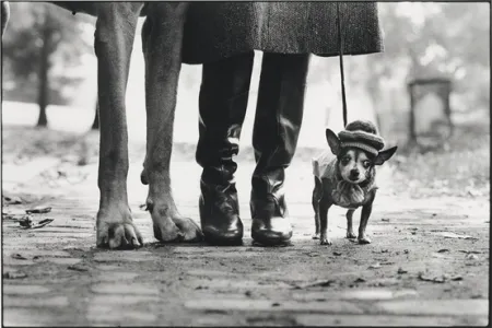 Fotografie Erwitt - New York City