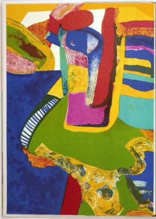 Illustriertes Buch Esteve - Maurice Estève. L’oeuvre gravé