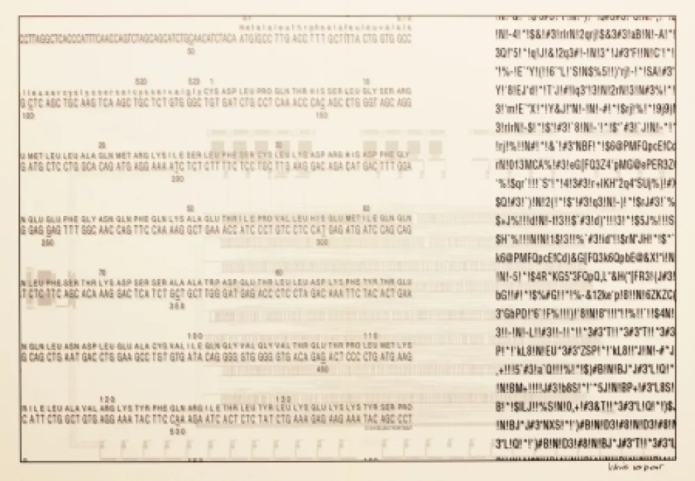 Siebdruck Export - Selbstporträt (Self Portrait)