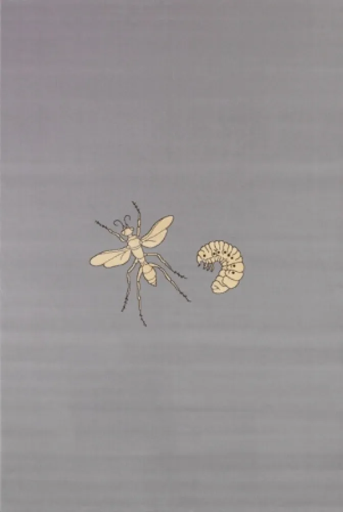 Multiple Fabre - Fly