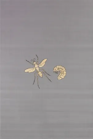 Multiple Fabre - Fly