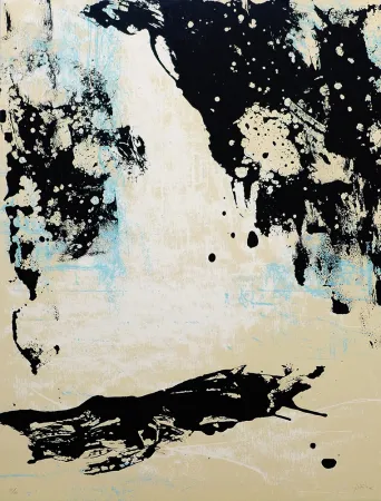 Siebdruck Fabré - Sin Título