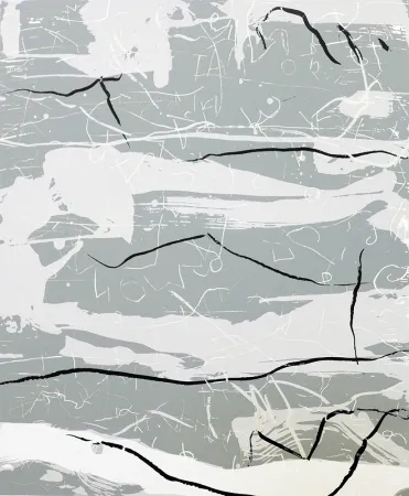 Siebdruck Fabré - Sin Título