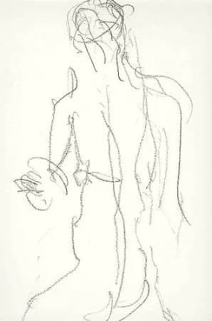 Illustriertes Buch Fabro - Art body