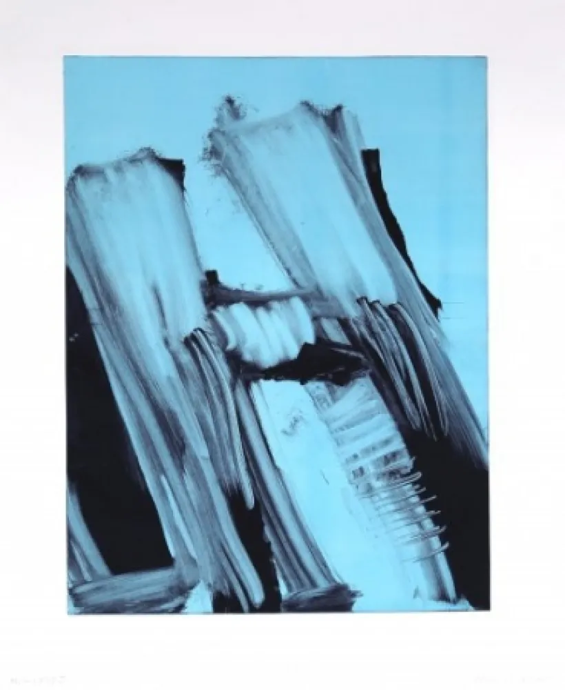 Monotypie Faldbakken - Hilux Variations 11