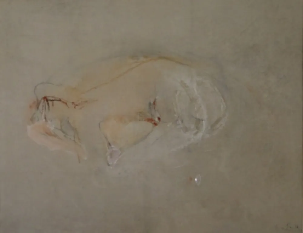 Keine Technische Falk - (Akt)