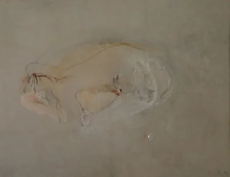 Keine Technische Falk - (Akt)