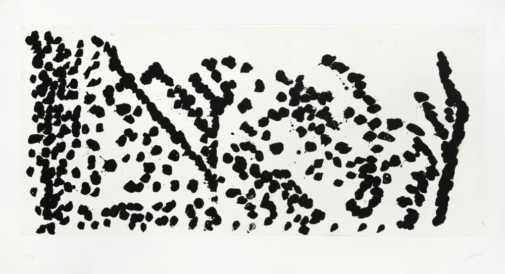 Stich Fattal - Réflexion