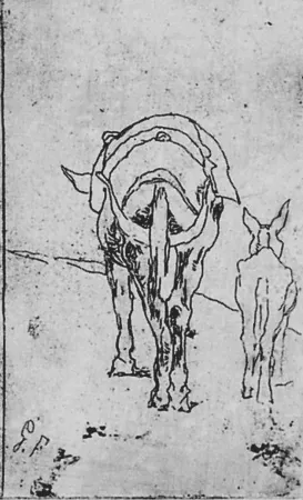 Radierung Fattori - Due somarelli