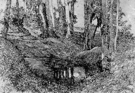 Stich Fattori - Il fosso