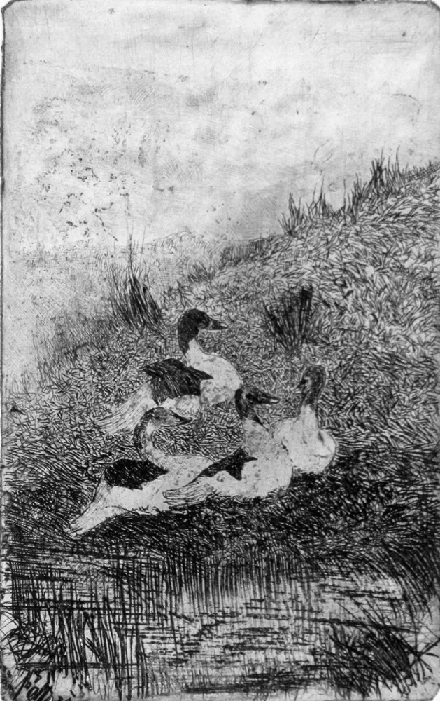 Radierung Fattori - Le anatre