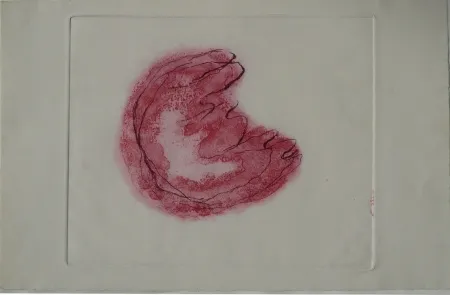 Radierung Und Aquatinta Fautrier - Baby mine