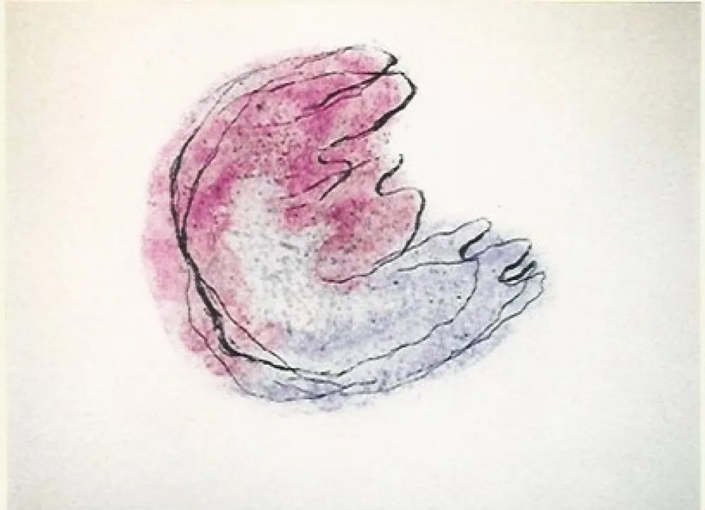 Stich Fautrier - Baby mine