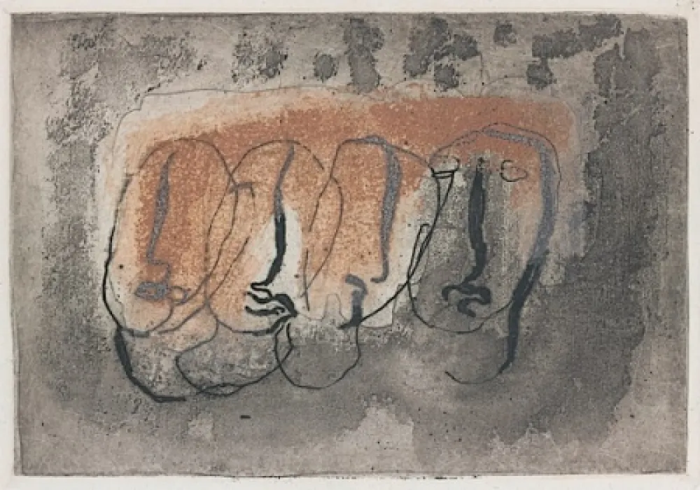 Illustriertes Buch Fautrier - Orenoque