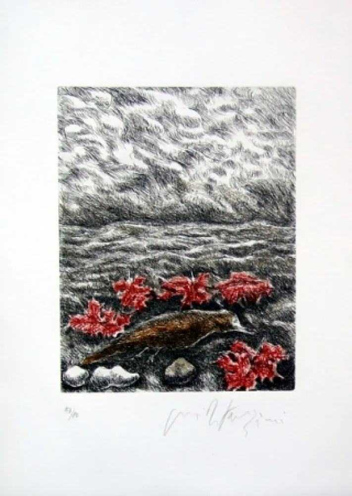 Illustriertes Buch Fazzini - Gabbiani