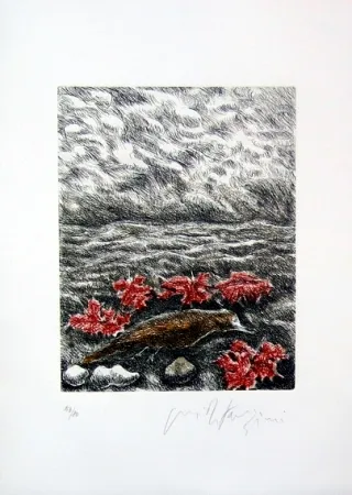 Illustriertes Buch Fazzini - Gabbiani