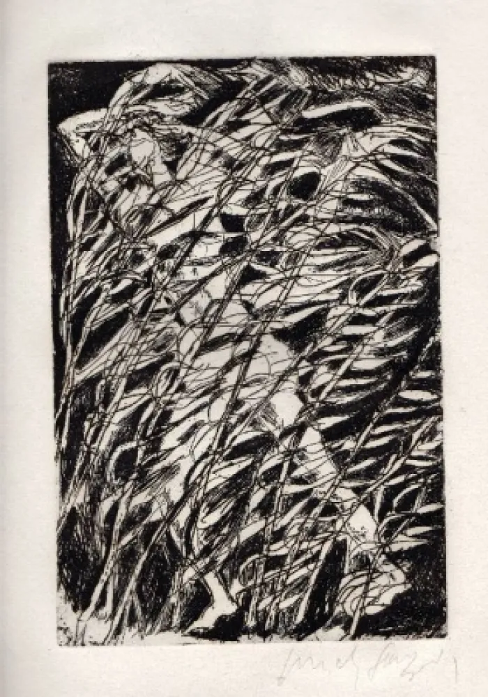 Illustriertes Buch Fazzini - Inni