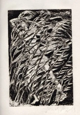 Illustriertes Buch Fazzini - Inni