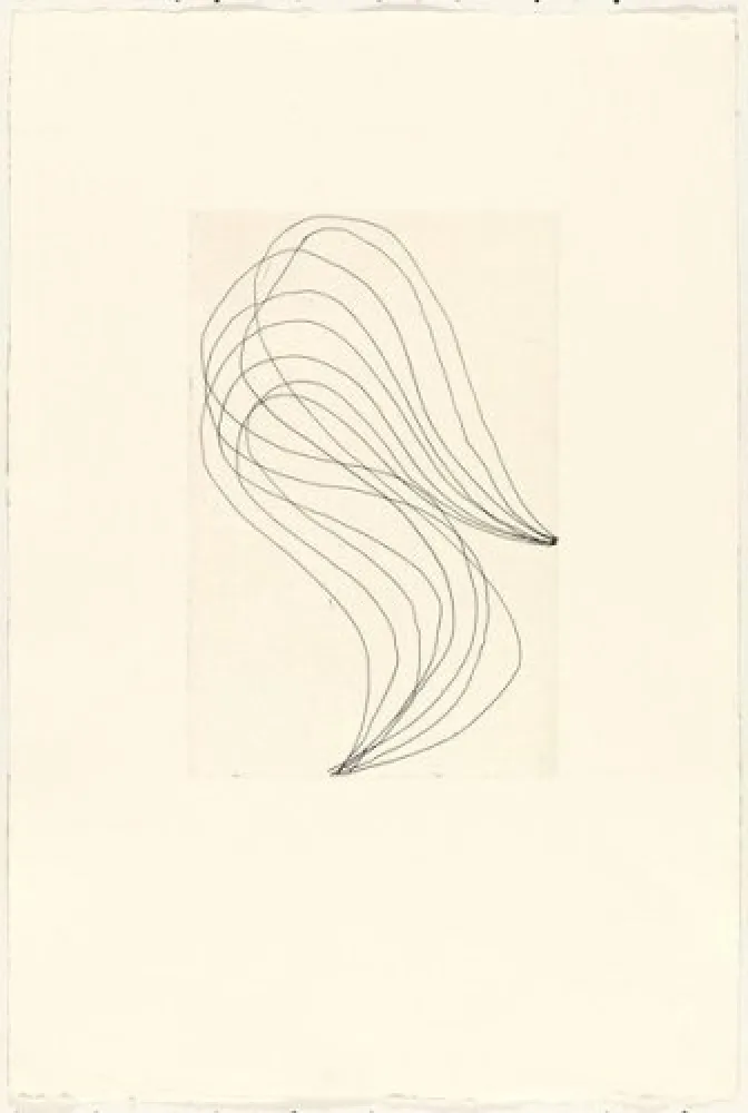 Stich Ferrari - Mod. 1