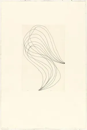 Stich Ferrari - Mod. 1