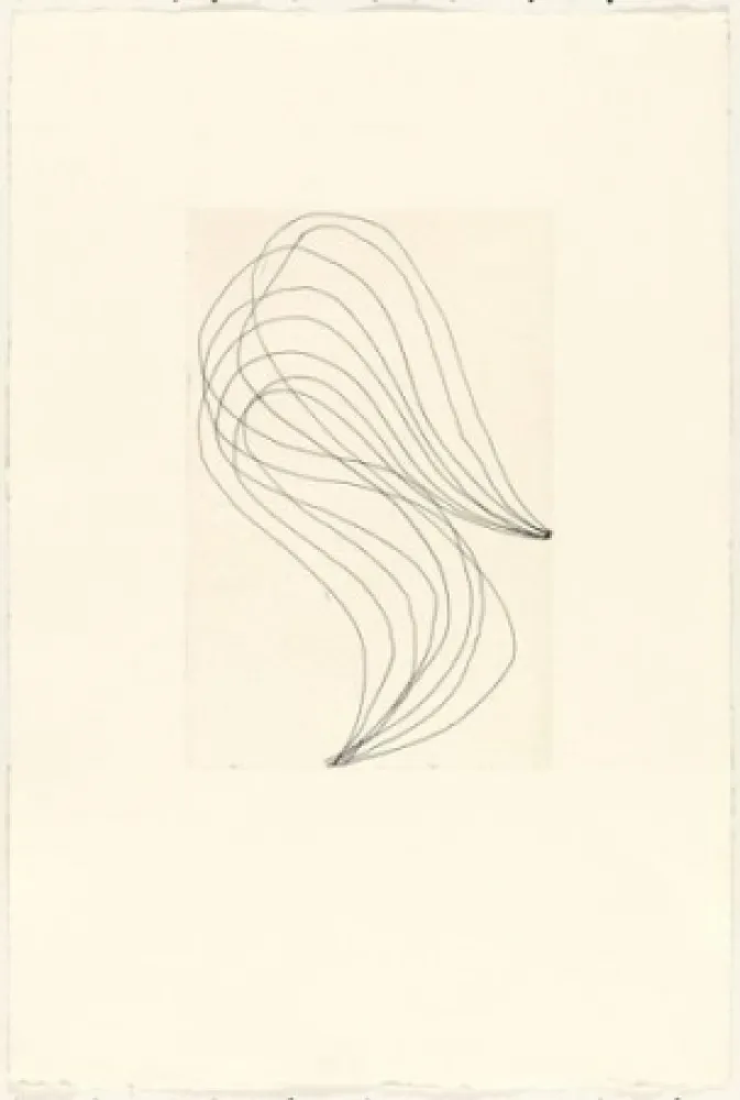 Stich Ferrari - Mod. 1