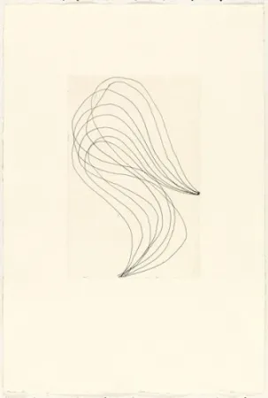 Stich Ferrari - Mod. 1