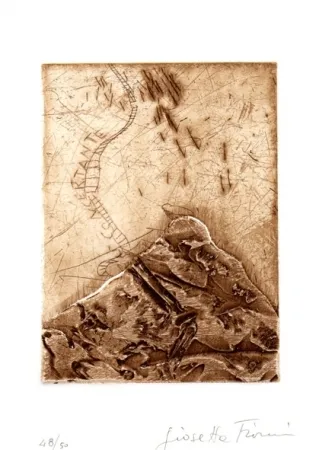 Illustriertes Buch Fioroni - Il titolo