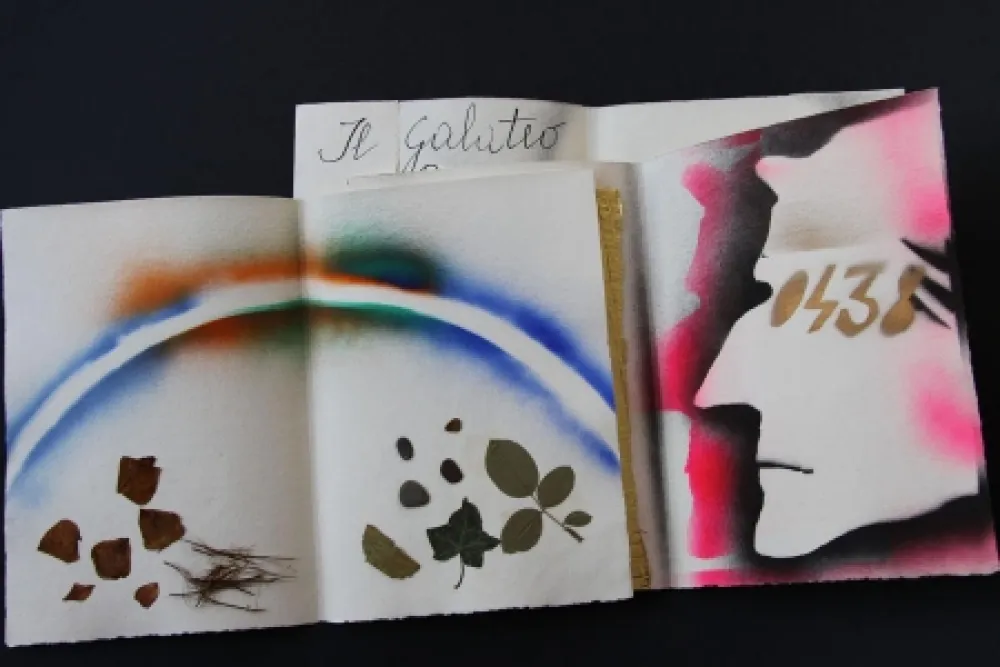 Illustriertes Buch Fioroni - Sonetto di veti e iridi