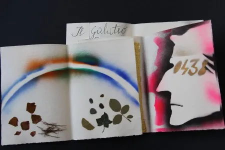 Illustriertes Buch Fioroni - Sonetto di veti e iridi