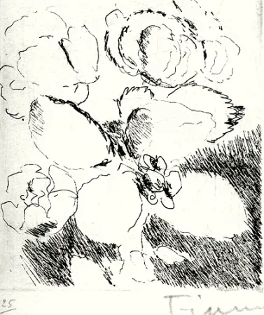 Illustriertes Buch Fiume - Dietro le carte