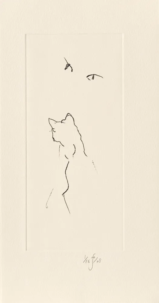 Stich Flanagan - Panda