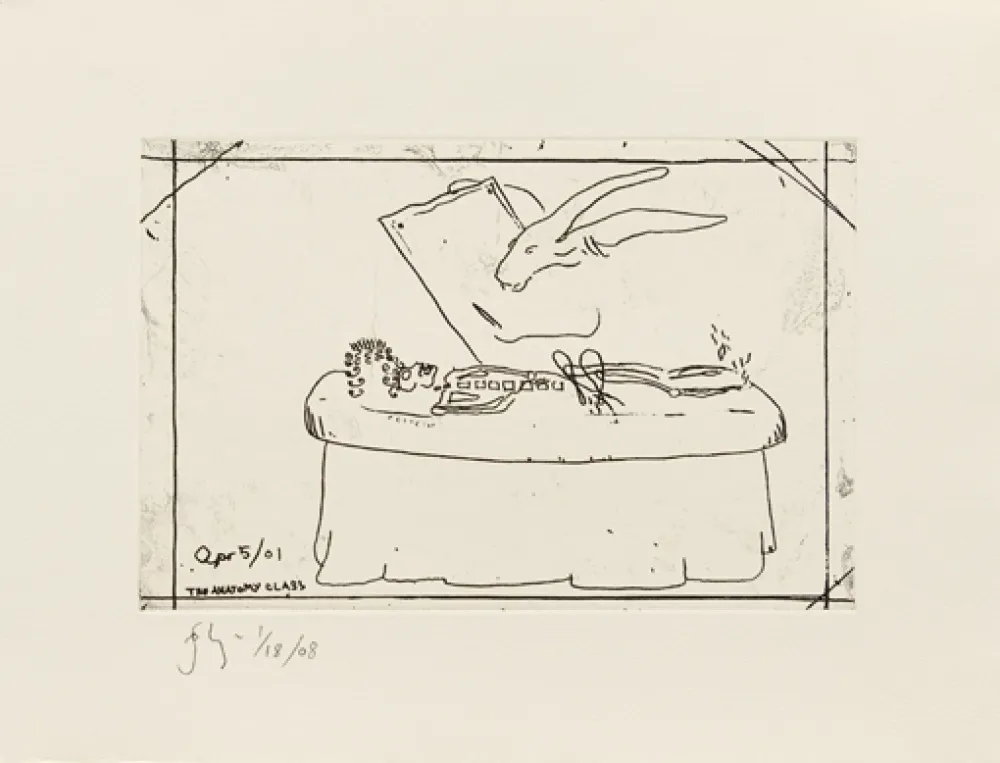 Stich Flanagan - The anatomy class