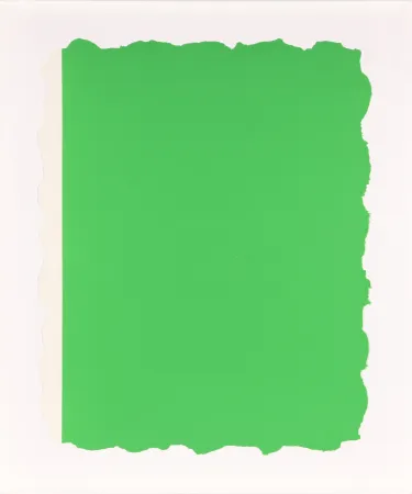 Aquatinta Flavin - Untitled, from Sequences - Green