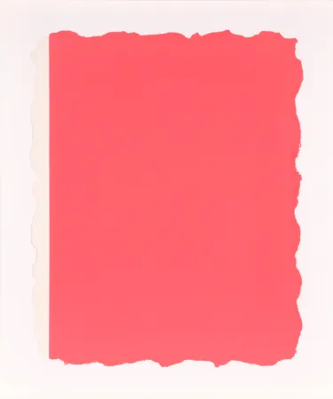 Aquatinta Flavin - Untitled, from Sequences - Pink