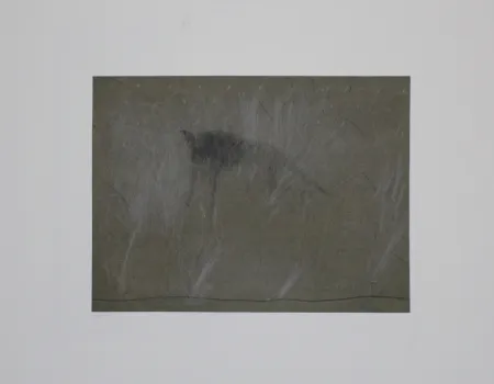 Stich Fleischmann - Beast