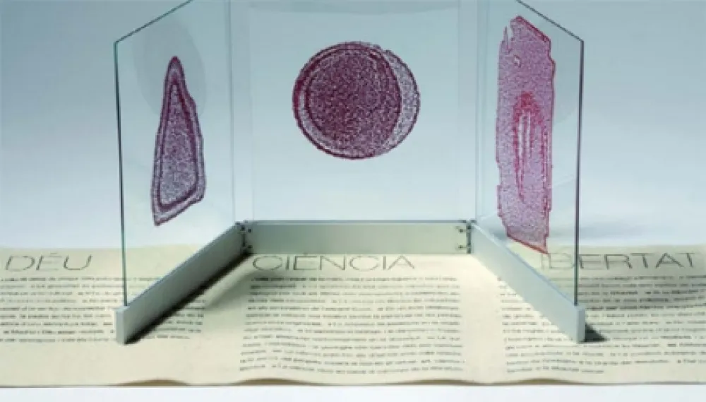 Illustriertes Buch Fontcuberta - Deu, ciència i llibertat